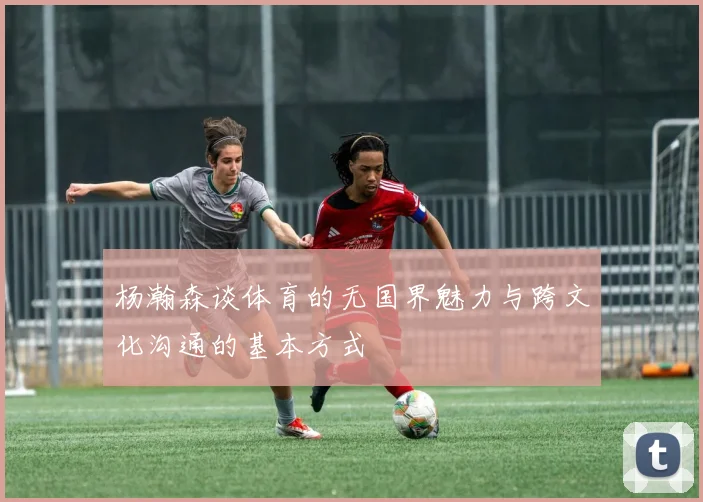 杨瀚森谈体育的无国界魅力与跨文化沟通的基本方式