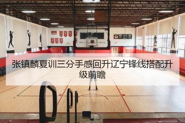 张镇麟夏训三分手感回升辽宁锋线搭配升级前瞻